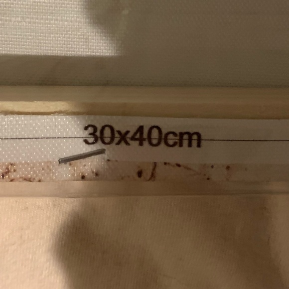 PARIS IN SPRING ROOM CANVIS WALL-ART!! - Picture 3 of 3